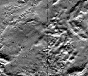 Modello digitale del terreno, generato utilizzando i dati dalla scansione laser aerea (ALS), che mostra le tombe megalitiche nell'area di Dolice (preparato da M. Schiller).