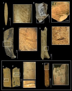 Ossa di cervo nano con segni di macellazione. Gli Archeologi sull'isola Pedro González nella Baia di Panama erano sorpresi di trovare ossa di cervo nano in un cumulo di rifiuti di 6.000 anni fa, prodotto dai residenti che apparentemente causarono l'estinzione dell'animale. Credit: Smithsonian Tropical Research Institute (STRI)