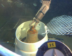 Mano manipolatrice del sommergibile HURL colloca la campana in un cesto di raccolta. Credit: Hawai'i Undersea Research Laboratory, University of Hawai'i