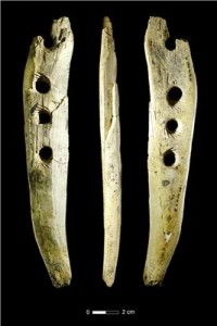 Avorio di mammuth di 40 mila anni fa da Hohle Fels. Photo: Copyright University of Tübingen