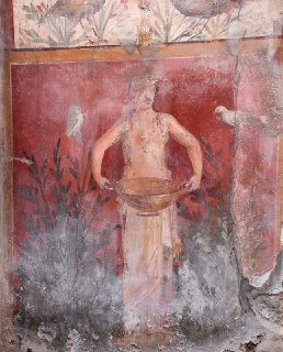 Pompei Casa dei Ceii