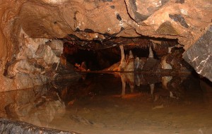 1024px-Gough's_Cave,_Alladdin's_Cave