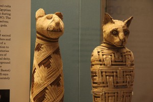 800px-British_museum,_Egypt_mummies_of_animals_(4423733728)