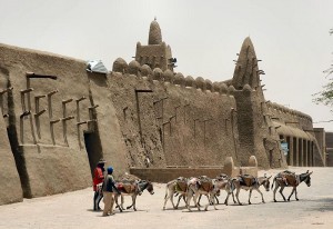 800px-Donkeys,_Timbuktu