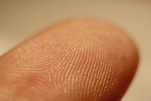 800px-Fingerprint_detail_on_male_finger
