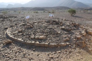 Al-Ayn, rilevamenti superficiali presso l'antica necropoli di tombe ad alveare. Foto di Łukasz Rutkowski