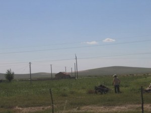 Coltivatore di miglio a Chifeng nella Mongolia Interna (Foto di Martin Jones)