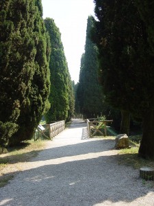 800px-Aquileia._La_passeggiata_archeologica._Foto_di_Giovanni_Dall'Orto