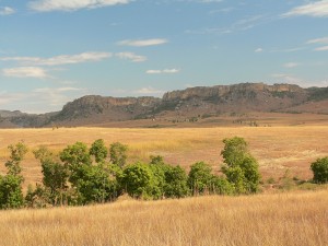 Plains_of_western_central_Madagascar_in_the_dry_season