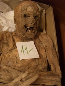 La mummia ungherese del diciottesimo secolo. Credit: Tel Aviv University