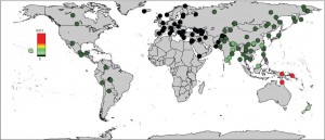 Cartina che mostra le proporzioni di genoma dedotto come Denisovan, con picco in Oceania e percentuali più alte nell'Asia meridionale. Credit: Sankararaman et al./Current Biology 2016