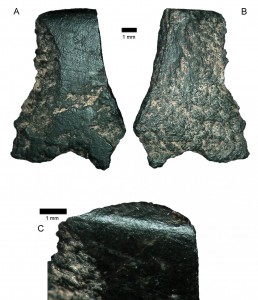 Il più antico frammento d'ascia, qui al microscopio. Credits: Australian Archaeology