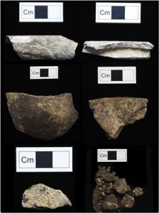 Selezione di frammenti ossei da Cnoc Coig. Credit: Sophy Charlton