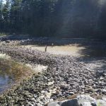 clam gardens Quadra Island British Columbia Northwest Coast peoples