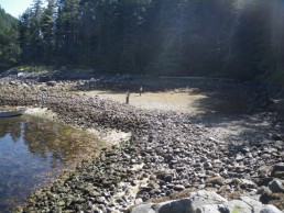 clam gardens Quadra Island British Columbia Northwest Coast peoples