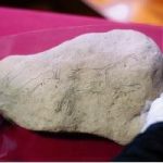 Paleolithic rock art Montsant valley Spain