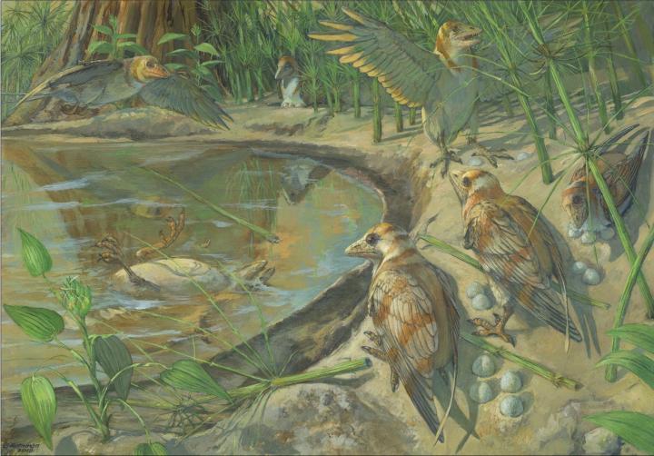Avimaia schweitzerae avian reproduction Cretaceous