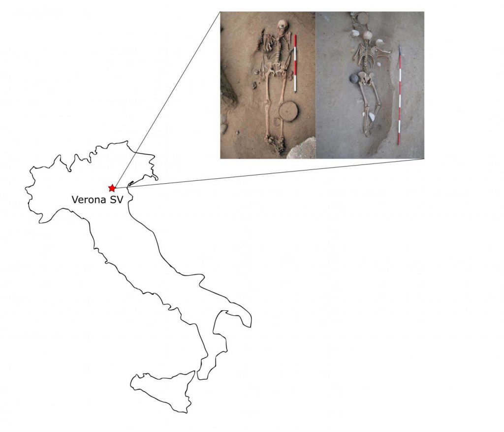 Cenomani Gauls Verona Seminario Vescovile
