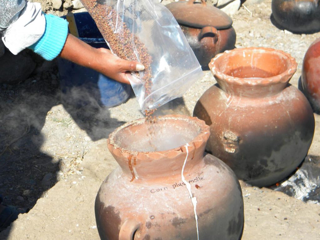 ceramic beer vessels chicha Wari Peru Field Museum Cerro Baúl