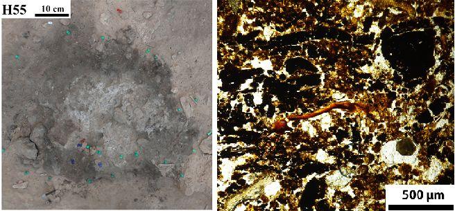 ancient hearths fire Neanderthal settlements Paleolithic