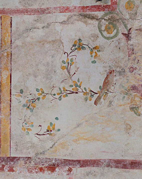 Decorazione vegetale con uccellino dalla Sala della Sfinge. Crediti: Parco archeologico del Colosseo