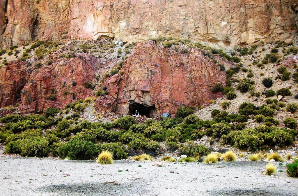 ayahuasca Cueva del Chileno