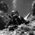 I pionieri dell’archeologia subacquea nell’area Flegrea ed in Sicilia