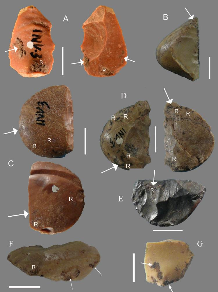 Neanderthals glue stone tools
