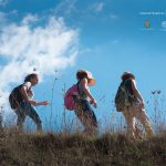 Gonnostramatza Project