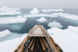 Citi exhibition Arctic: culture and climate