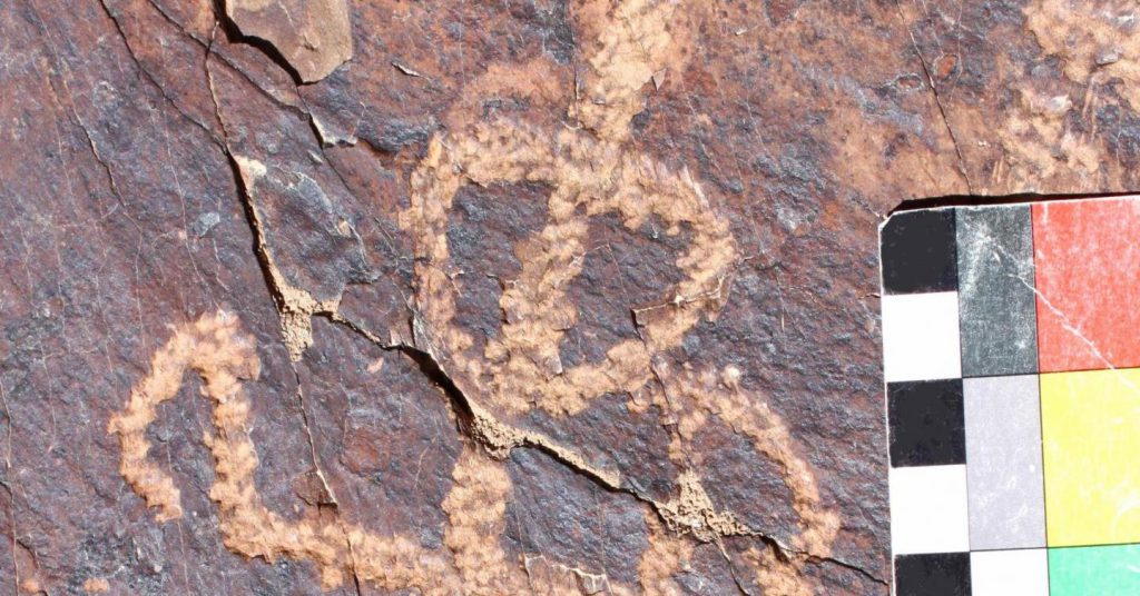 mantis petroglyph Iran