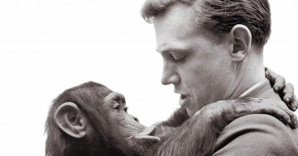 avventure di un giovane naturalista David Attenborough