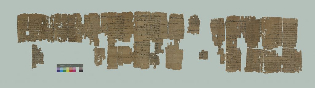 Museo Egizio di Torino Premio Patrimonio Premi Europa Nostra 2020 Turin Papyrus Online Platform TPOP