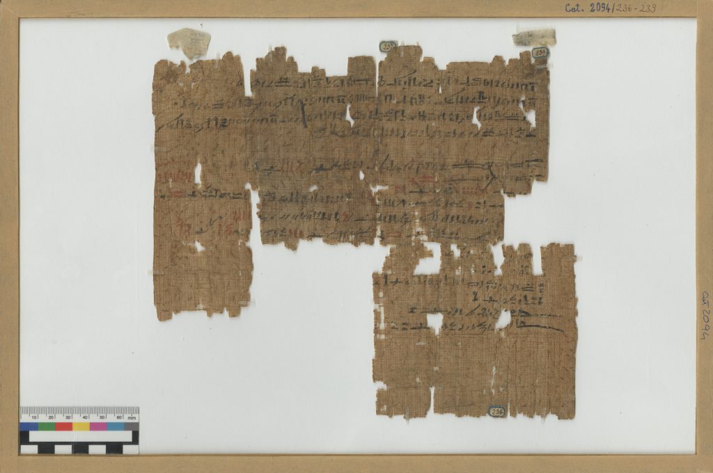 Museo Egizio di Torino Premio Patrimonio Premi Europa Nostra 2020 Turin Papyrus Online Platform TPOP