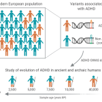 ADHD neanderthals