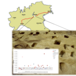analisi biomolecolare arrivo Longobardi