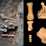Amud 9 neandertal