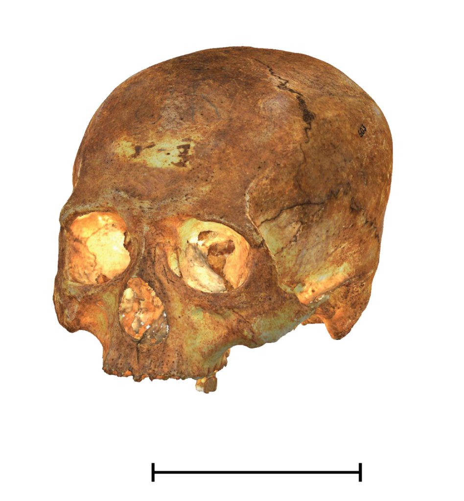 3D reconstruction pre-Columbian crania