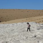 Homo sapiens Arabia Elefante Nefud