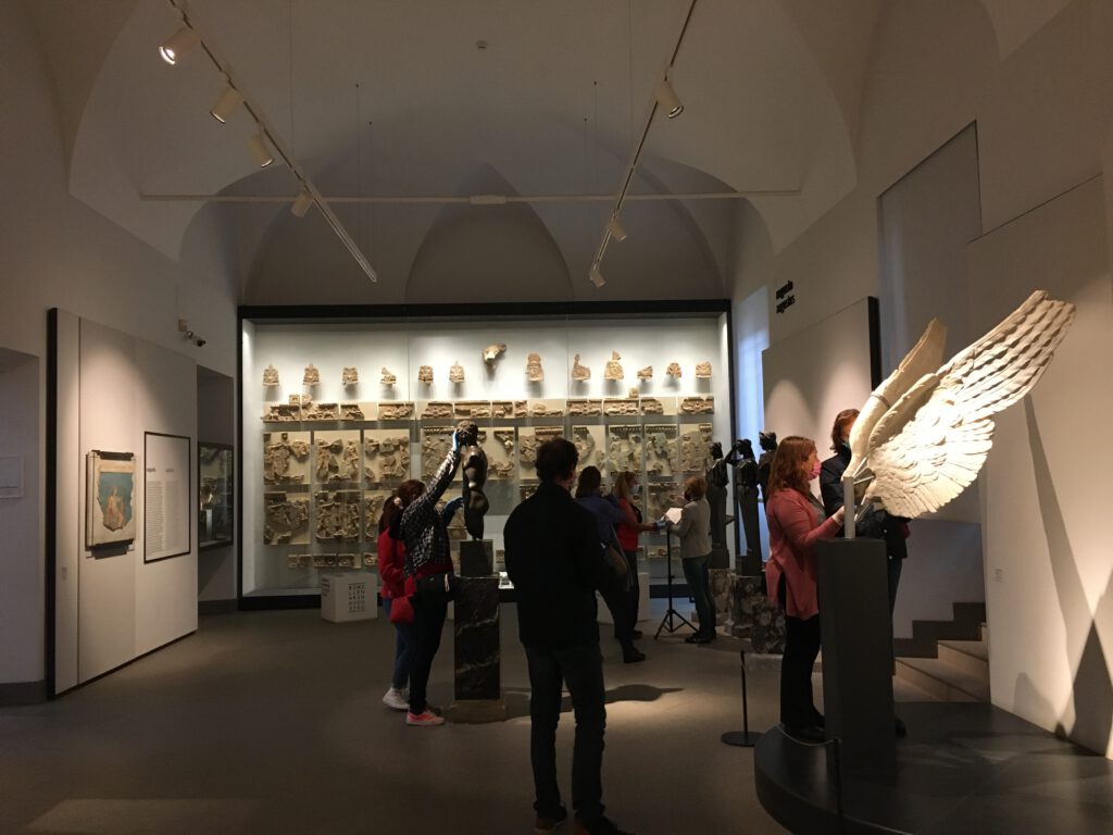 accarezzare storia Roma Museo Palatino Parco Colosseo