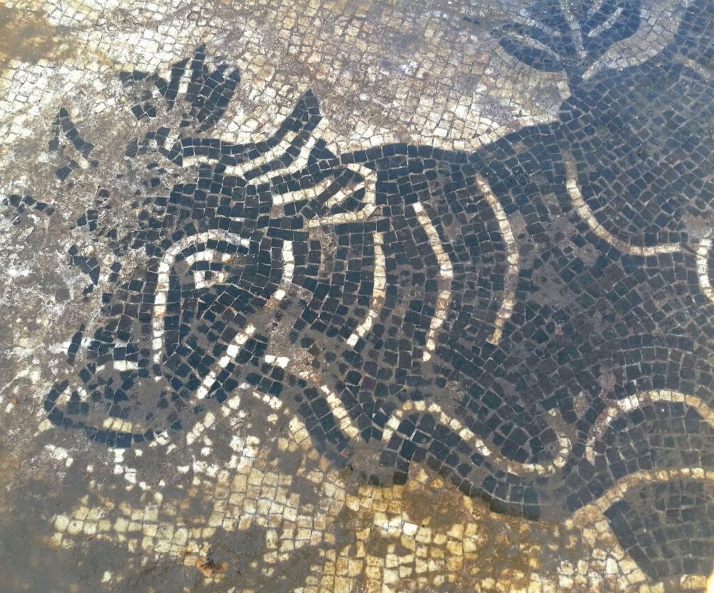 Terme romane sul fiume Cosa