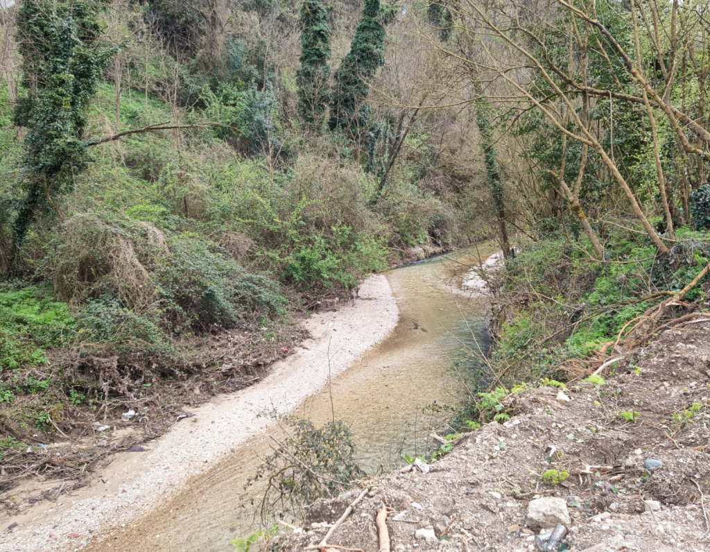 Terme romane sul fiume Cosa