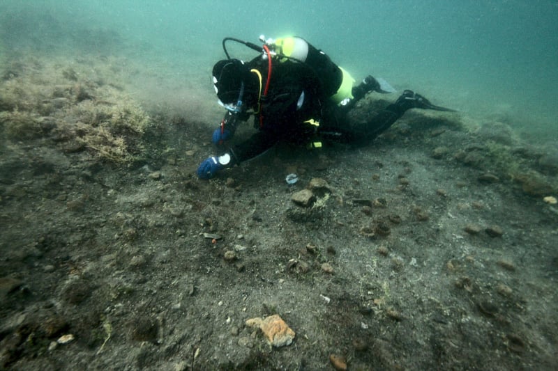 Gran Carro di Bolsena