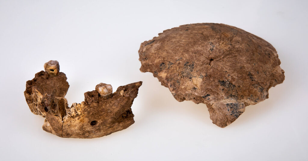 Neanderthal Nesher Ramla Israele fossili
