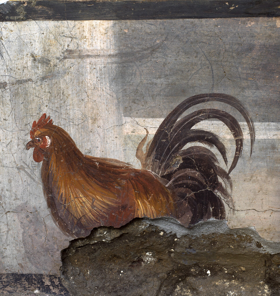 Regio V Pompei