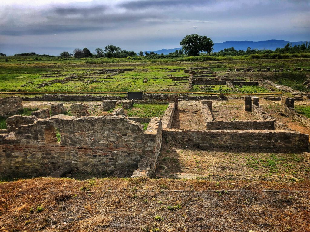 Sulle tracce del patrimonio Le ragioni Archeologia