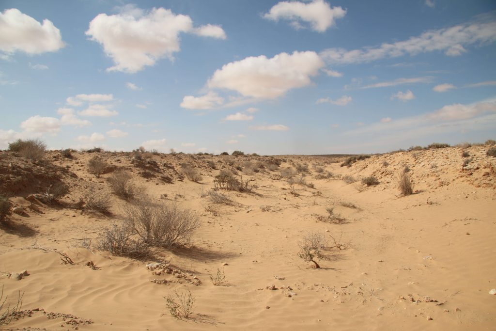 Dal Sahara tunisino strumenti e tecnologie risalenti a 300 mila fa