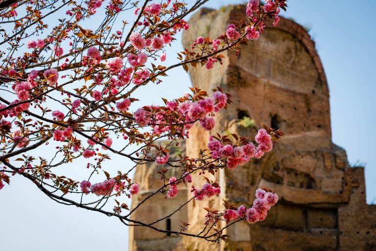primavera Roma archeologica