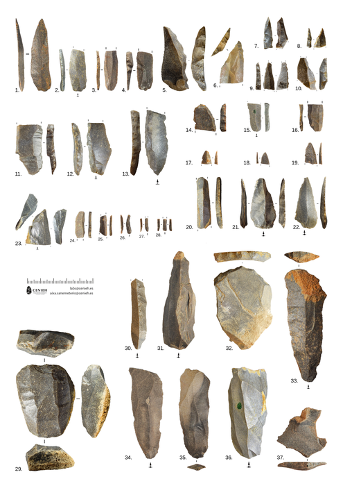 Tools Neandertal extinction Iberian Peninsula Aranbaltza II