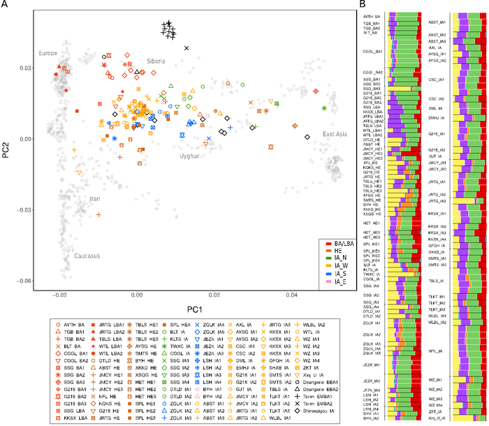 Xinjiang ancient DNA Tarim basin